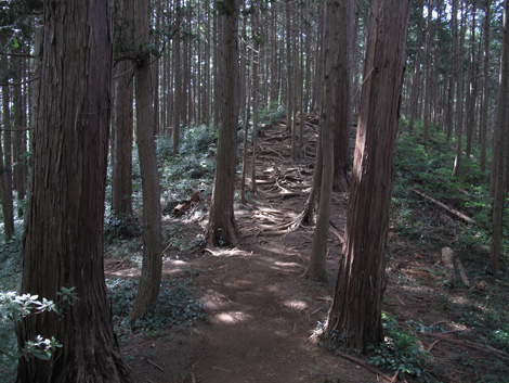 20161007hike (34)